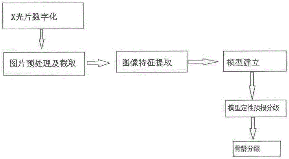 Bone age assessment method