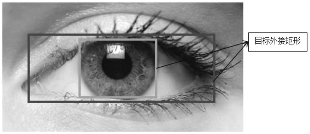 Blink Frequency and Gaze Estimation Method Based on Eye Region Generative Network