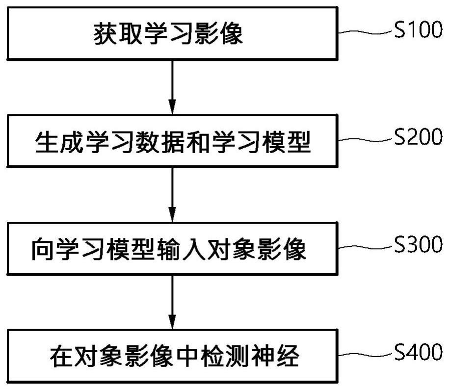 Nerve detection method and device