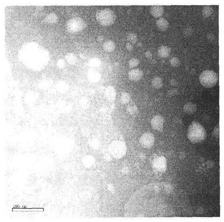 Tripterine nano structure lipid carrier and preparation method and application thereof