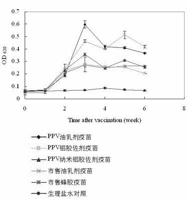 Porcine parvovirus nanometer alumina gel adjuvant inactivated vaccine and preparation method thereof