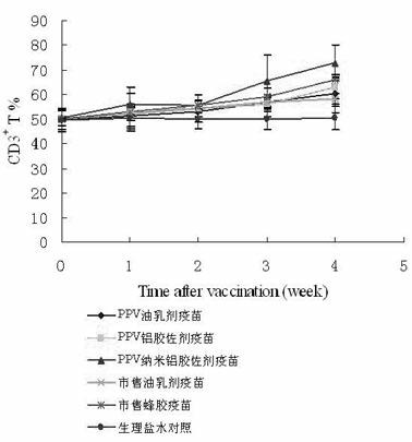 Porcine parvovirus nanometer alumina gel adjuvant inactivated vaccine and preparation method thereof