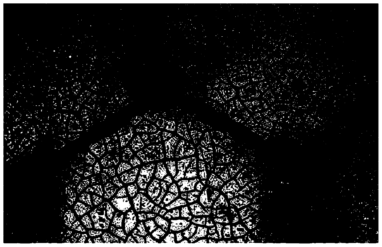 Flexible transparent conductive film and preparation technology thereof