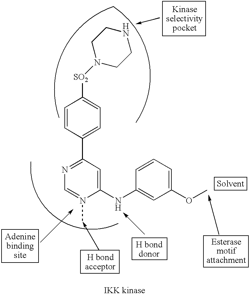 Enzyme and receptor modulation