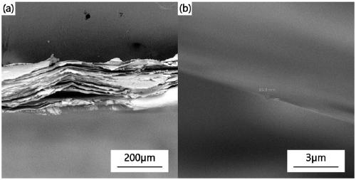 Preparation method of metal nanosheet, metal nanosheet, application and cathode active material