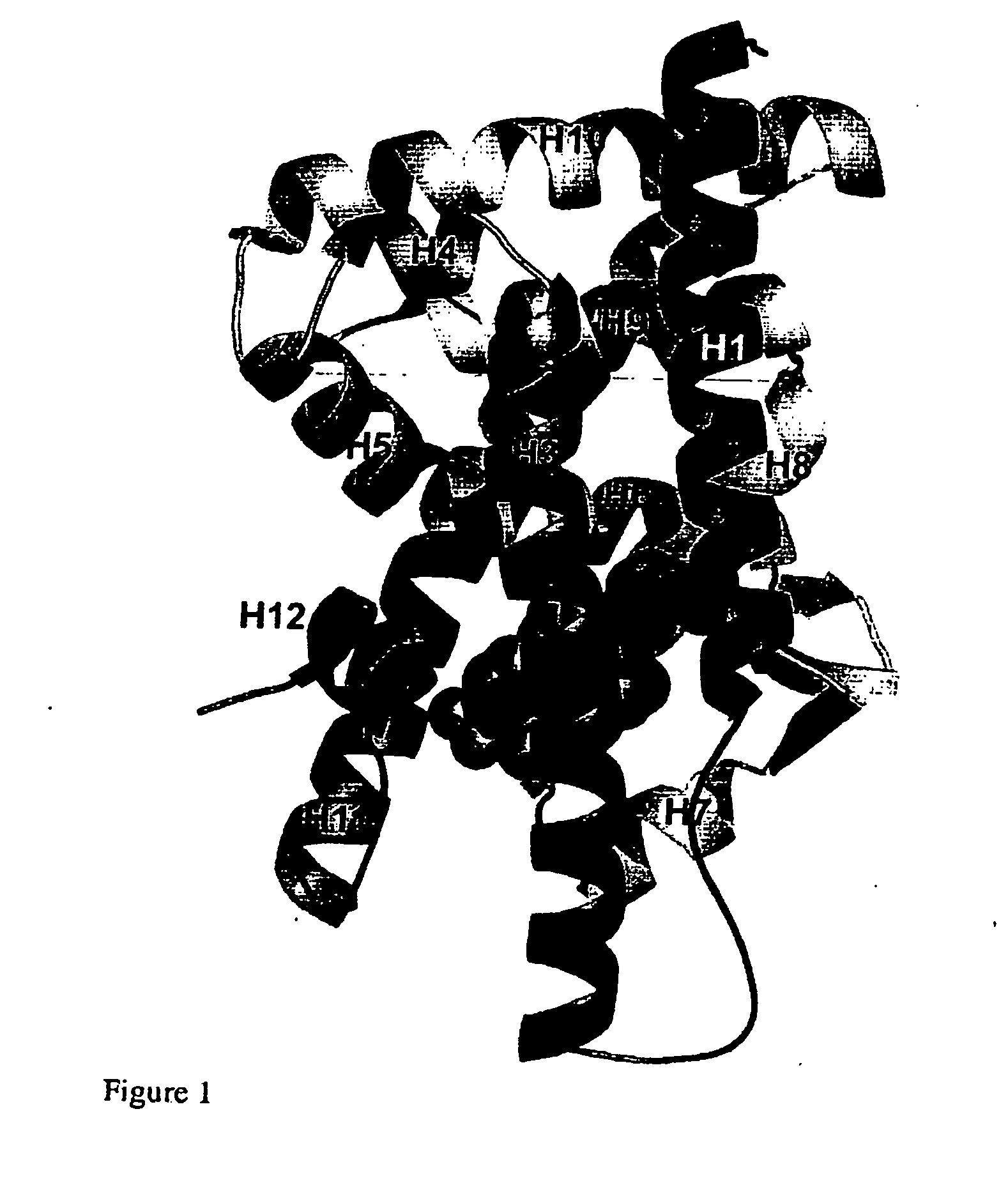 Protein crystal