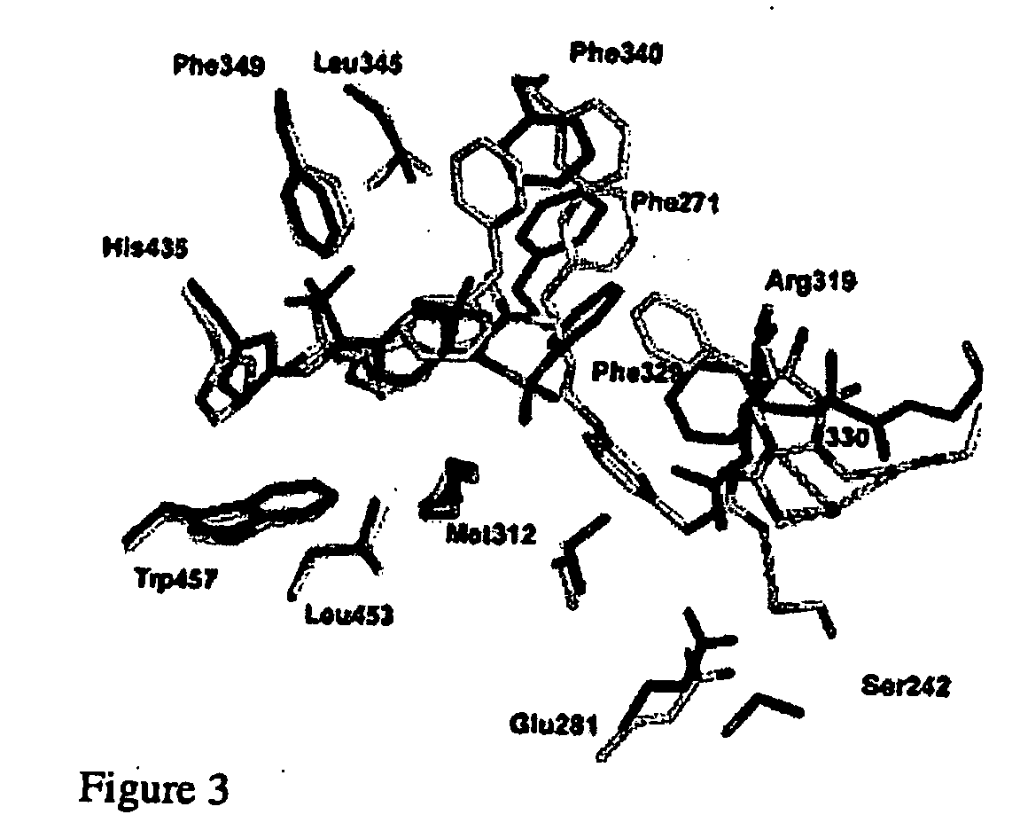 Protein crystal