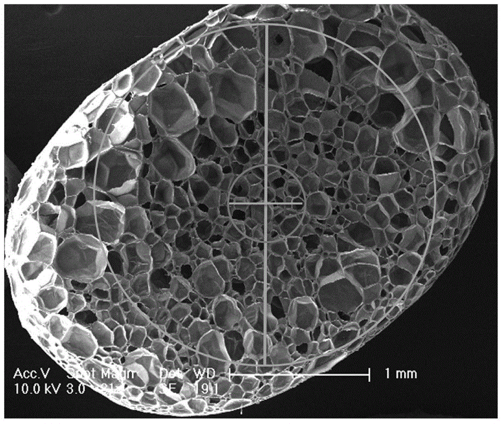 Polypropylene series resin composite foam particle, and preparation method and application thereof