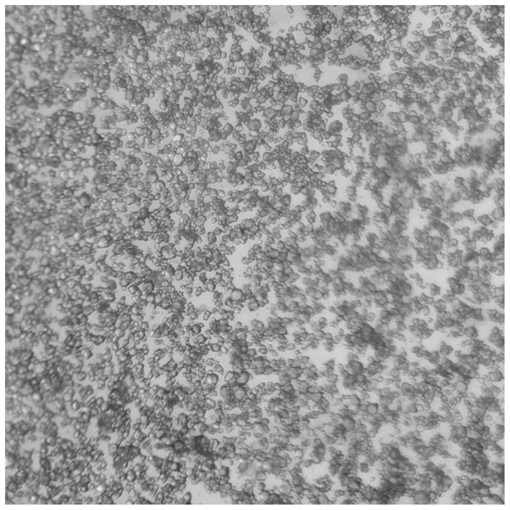 A rigid tetracarboxyl hydrogen-bonded organic framework material and its preparation and application