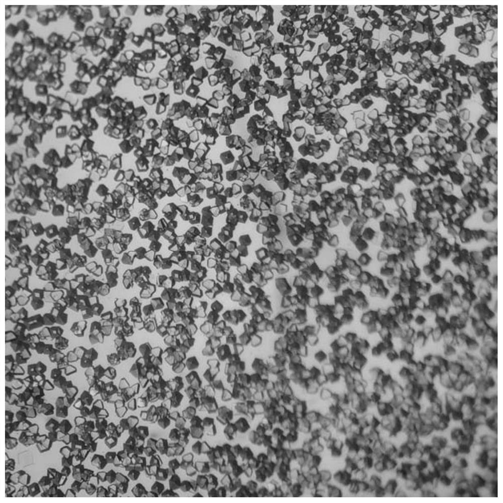 A rigid tetracarboxyl hydrogen-bonded organic framework material and its preparation and application