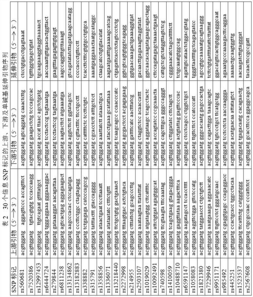 A Nucleic Acid Mass Spectrometry Parentage Testing Method Based on Informational SNP Set and Its Primers