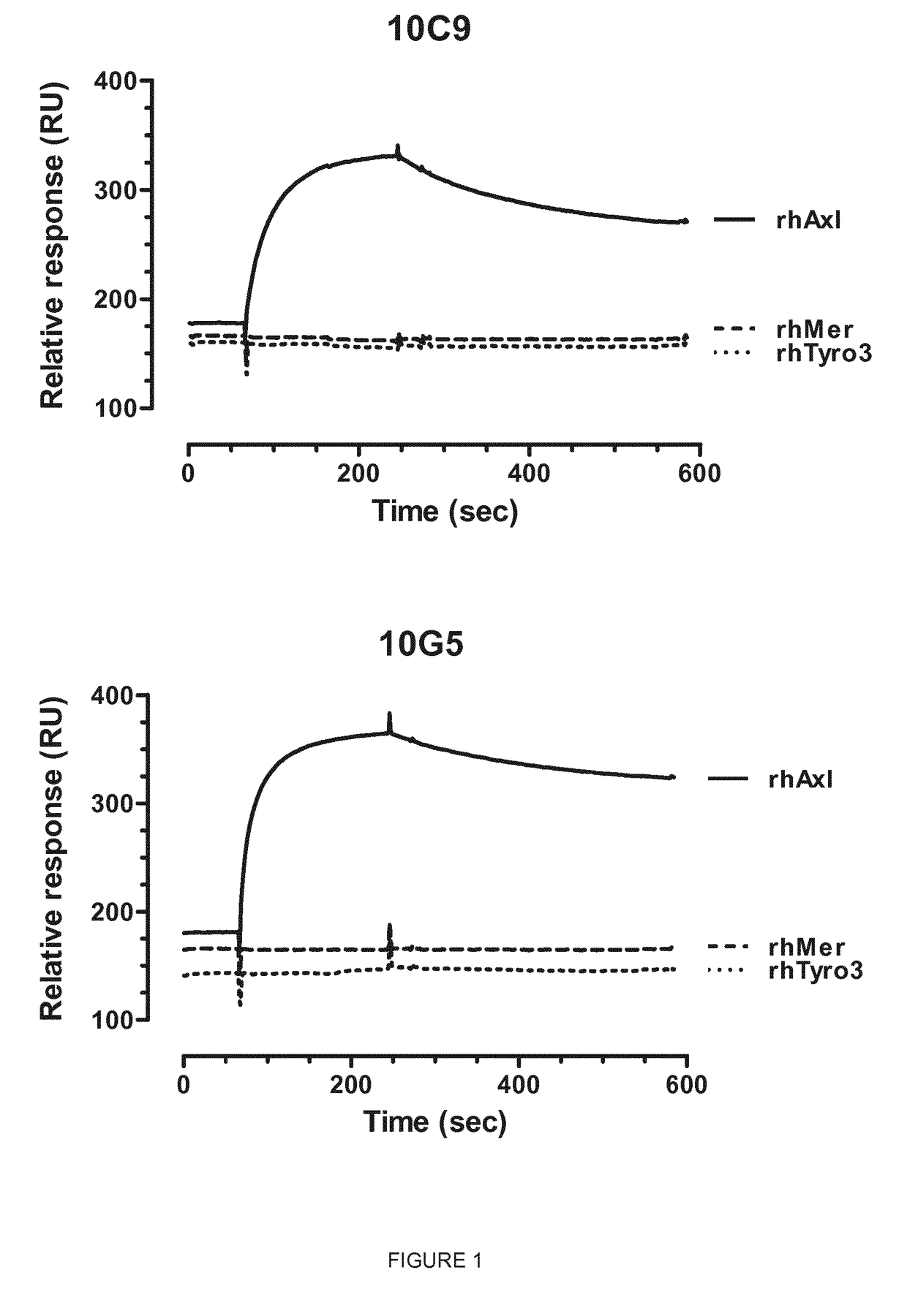 Anti-axl antagonistic antibodies