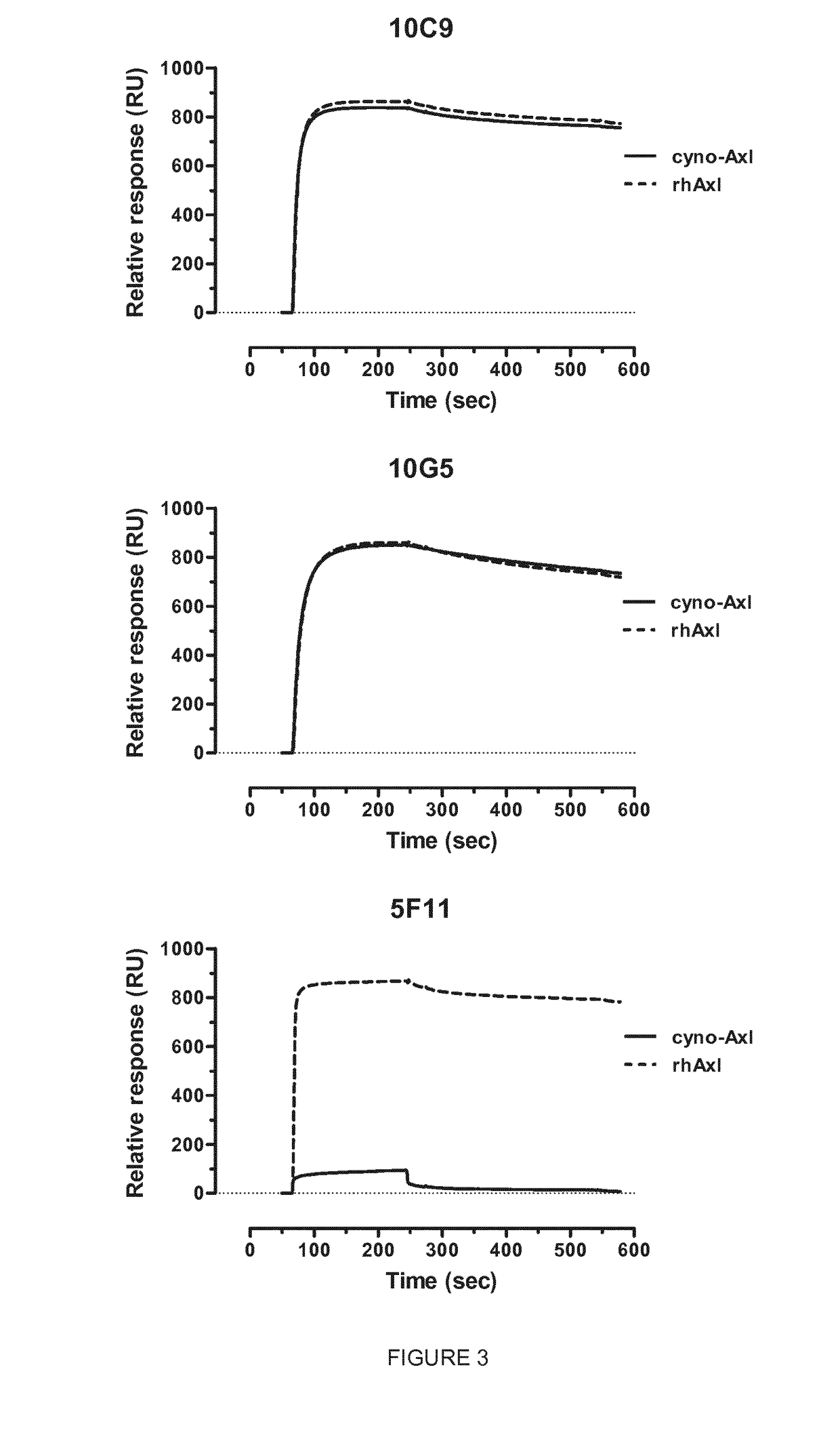 Anti-axl antagonistic antibodies