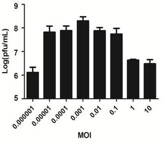 A new strain of A. viridans bacteriophage avp and its application