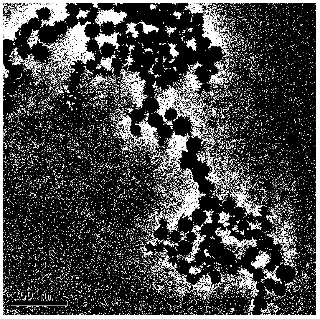 Method for preparing precious metal titanium dioxide core-shell structure