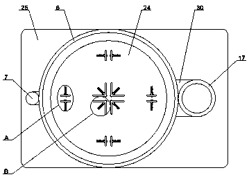 Wood paint spraying device for finishing engineering