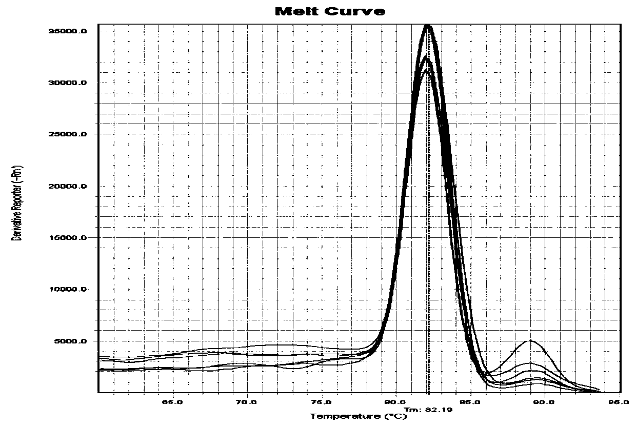 A method for detecting the expression of the odorant-binding protein gene obp6 in Apis mellifera using fluorescent RT-PCR