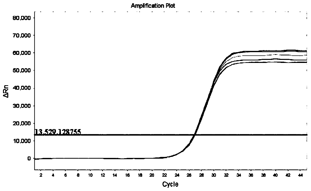 A method for detecting the expression of the odorant-binding protein gene obp6 in Apis mellifera using fluorescent RT-PCR