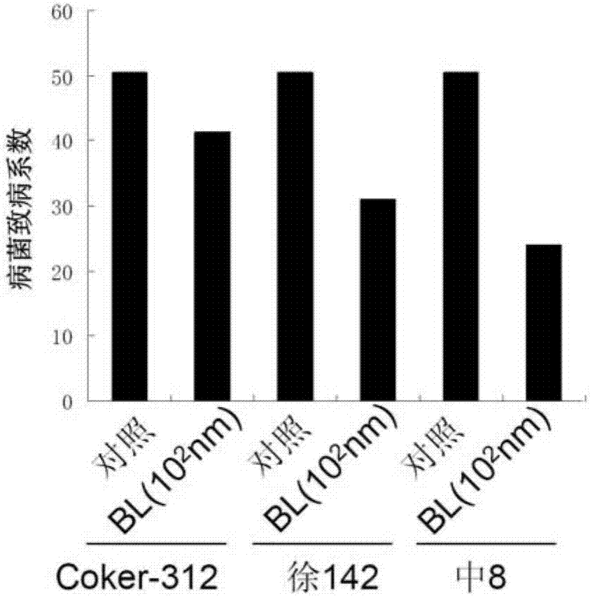 Drug for preventing and controlling plant greensickness