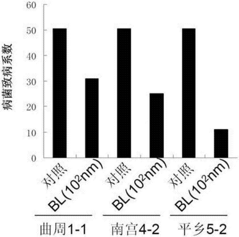 Drug for preventing and controlling plant greensickness