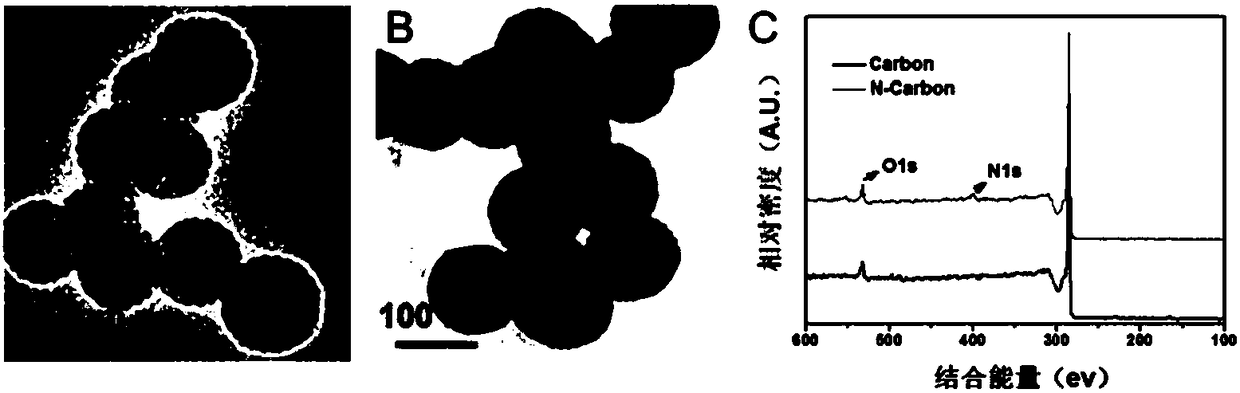 Oxidase-like activity of nitrogen-doped carbon nanospheres and uses thereof