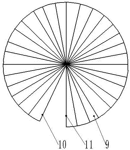 Planting method of angelica dahurica