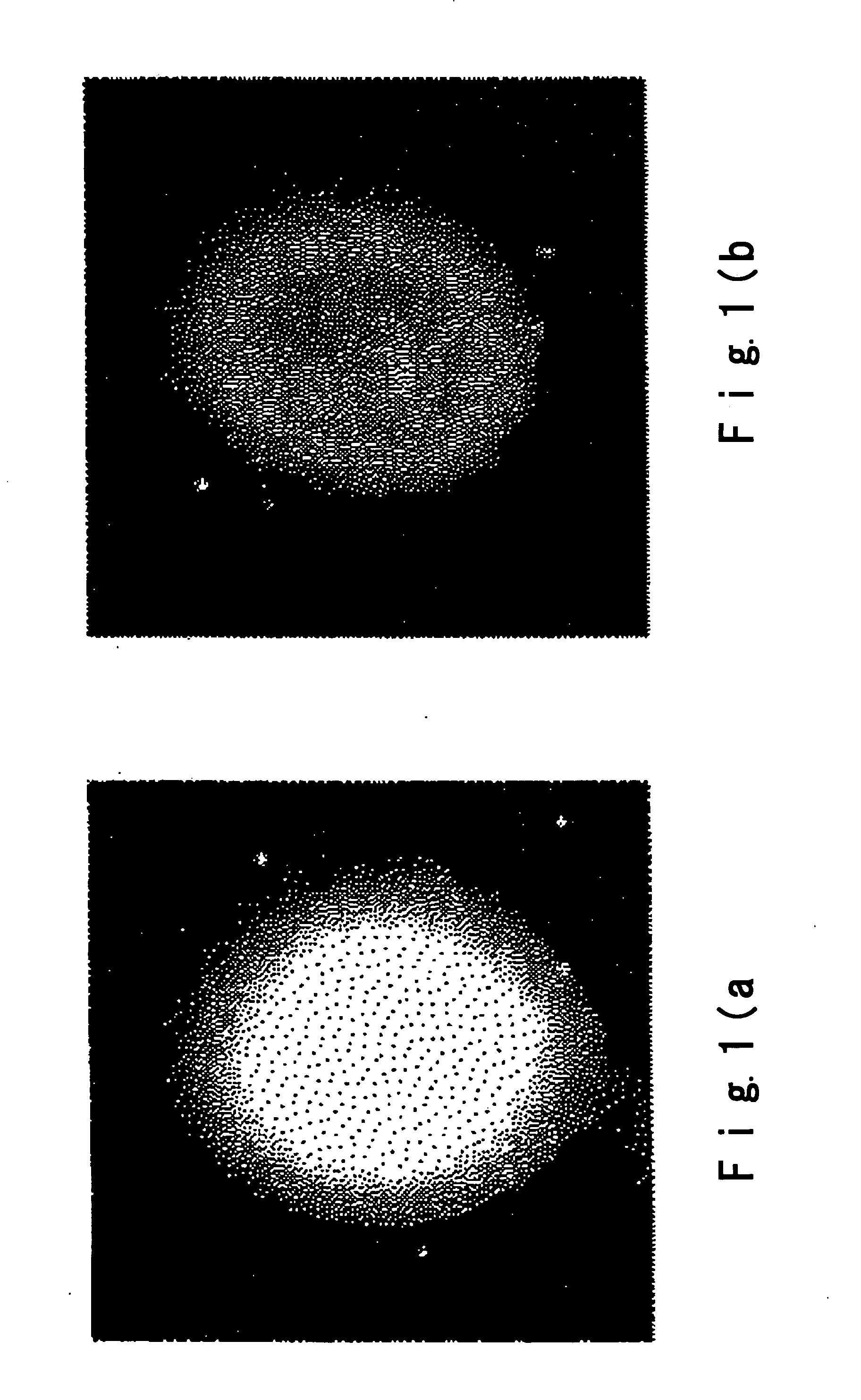 Biochip substrate