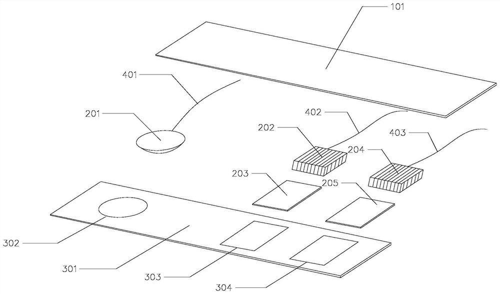 Detection system and method for noninvasive measurement of tissue deoxidation, oxygenation and carbonyl hemoglobin