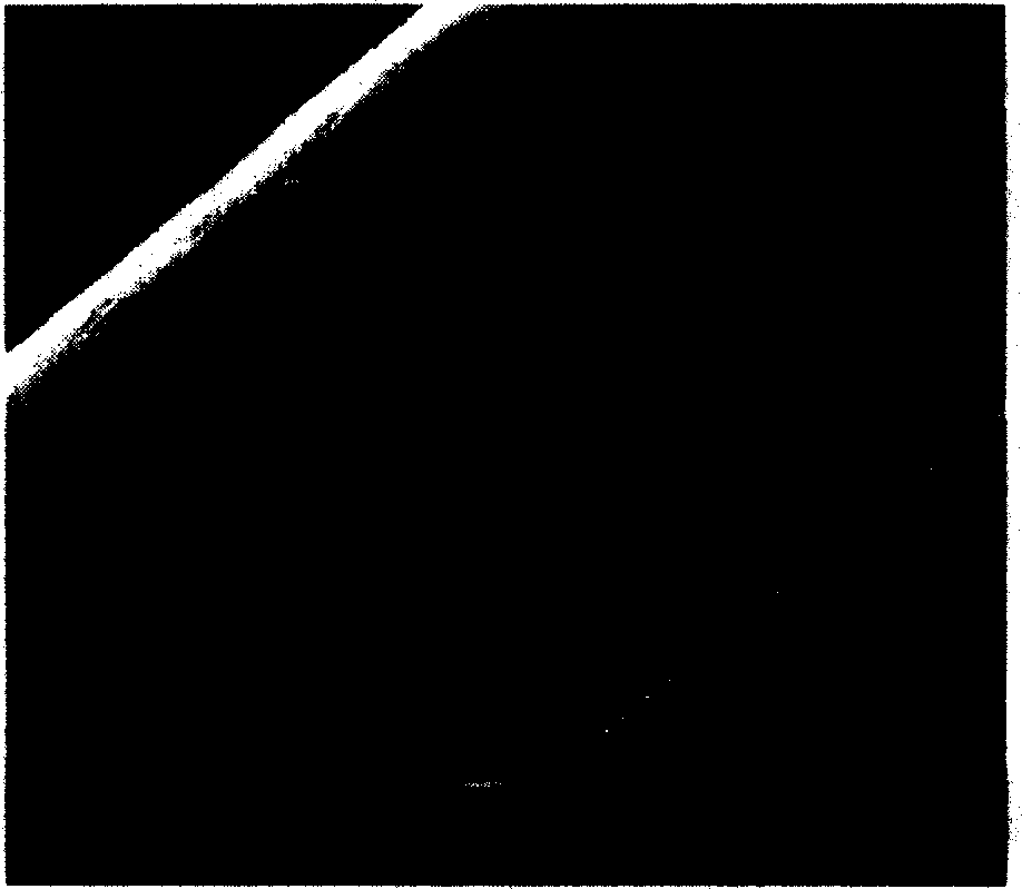 Process for preparing big aperture active carbon fibers