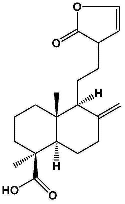 Pharmaceutical composition derived from eucommia ulmoides and use of pharmaceutical composition