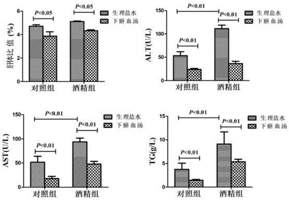 Application of a traditional Chinese medicine composition in preparation of medicine for treating chronic alcoholic steatohepatitis