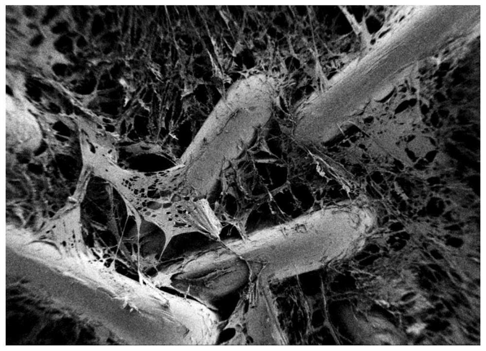 Preparation method of porous hydrogel coating on surface of polypropylene patch