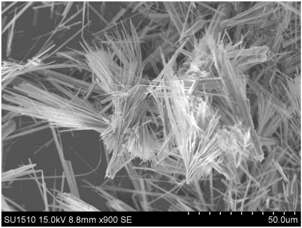 Preparation method and application of sector hydroxyl zinc fluoride