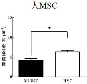 Leptin receptor affinity peptide and its application