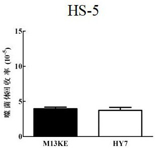 Leptin receptor affinity peptide and its application