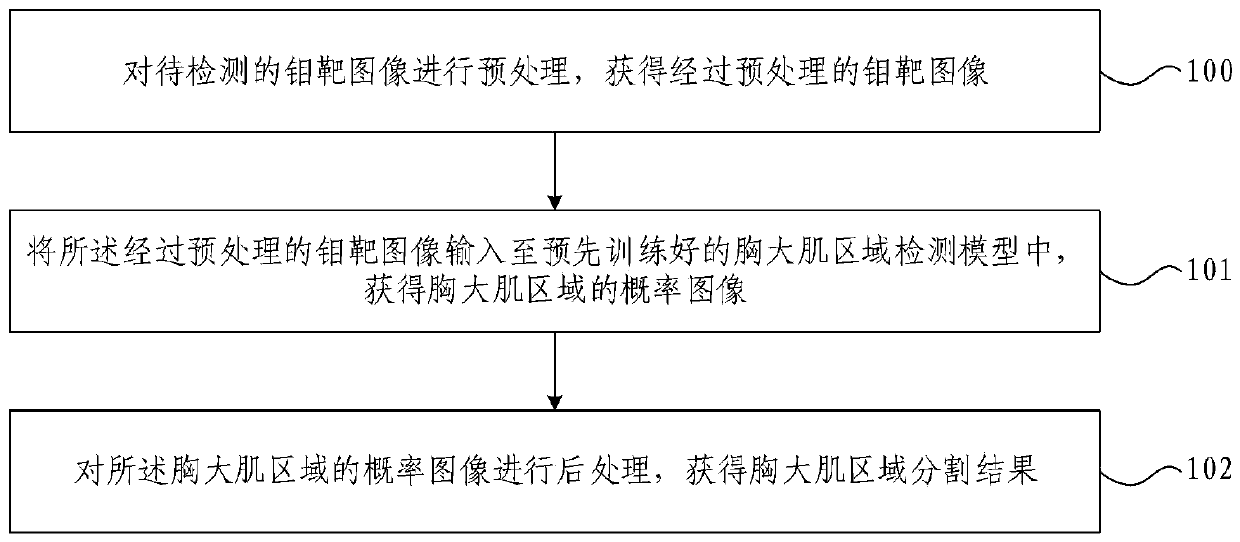 Method and device for automatically detecting pectoralis major muscle region in molybdenum target image