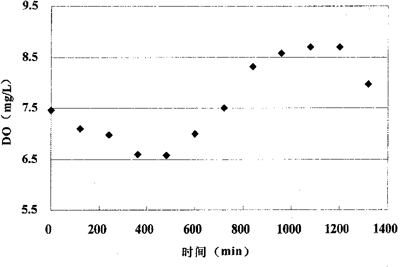 Method for judging and early warning outbreak potential of water bloom of water body