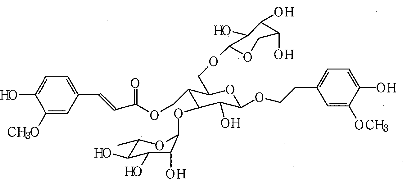 Process for extracting and separating Angoroside C from radix scrophulariae and novel medical application of Angoroside C