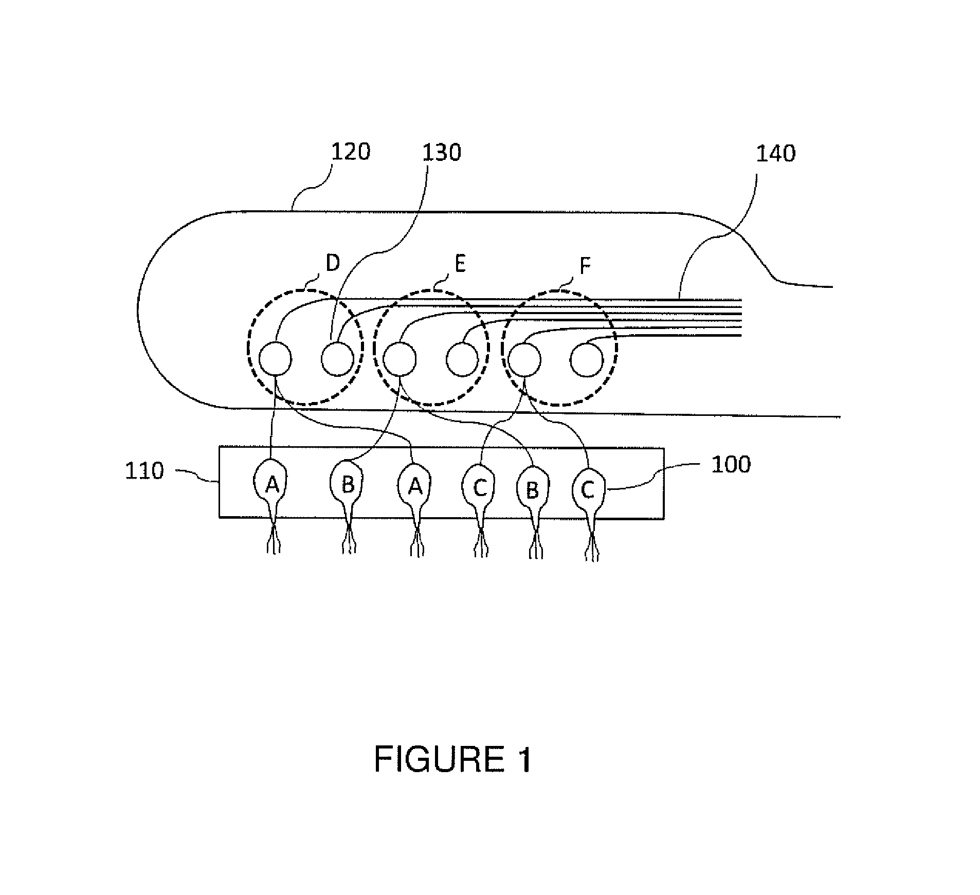 Olfactory implant system