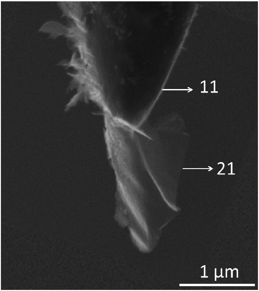 Scanning tunneling microscope probe with use of two-dimensional atomic crystal material