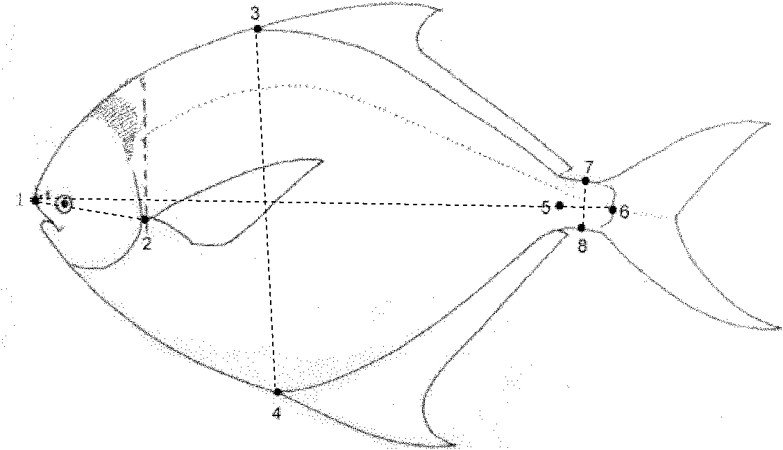 Method for identifying pampus argenteus, pampus punctatissimus and pampus chinensis