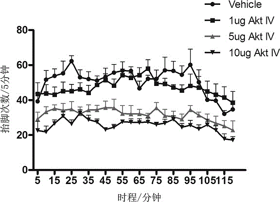 Novel use of protein kinase B inhibitor