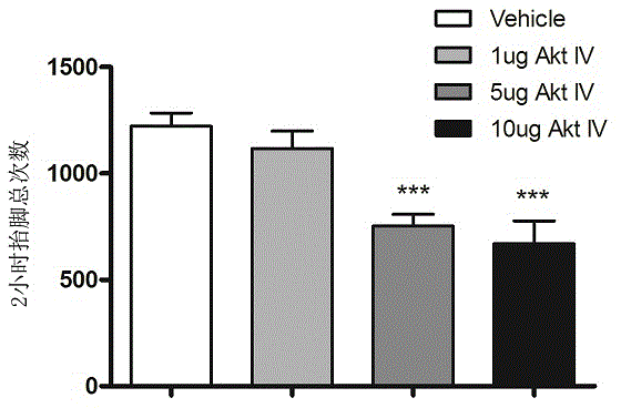 Novel use of protein kinase B inhibitor