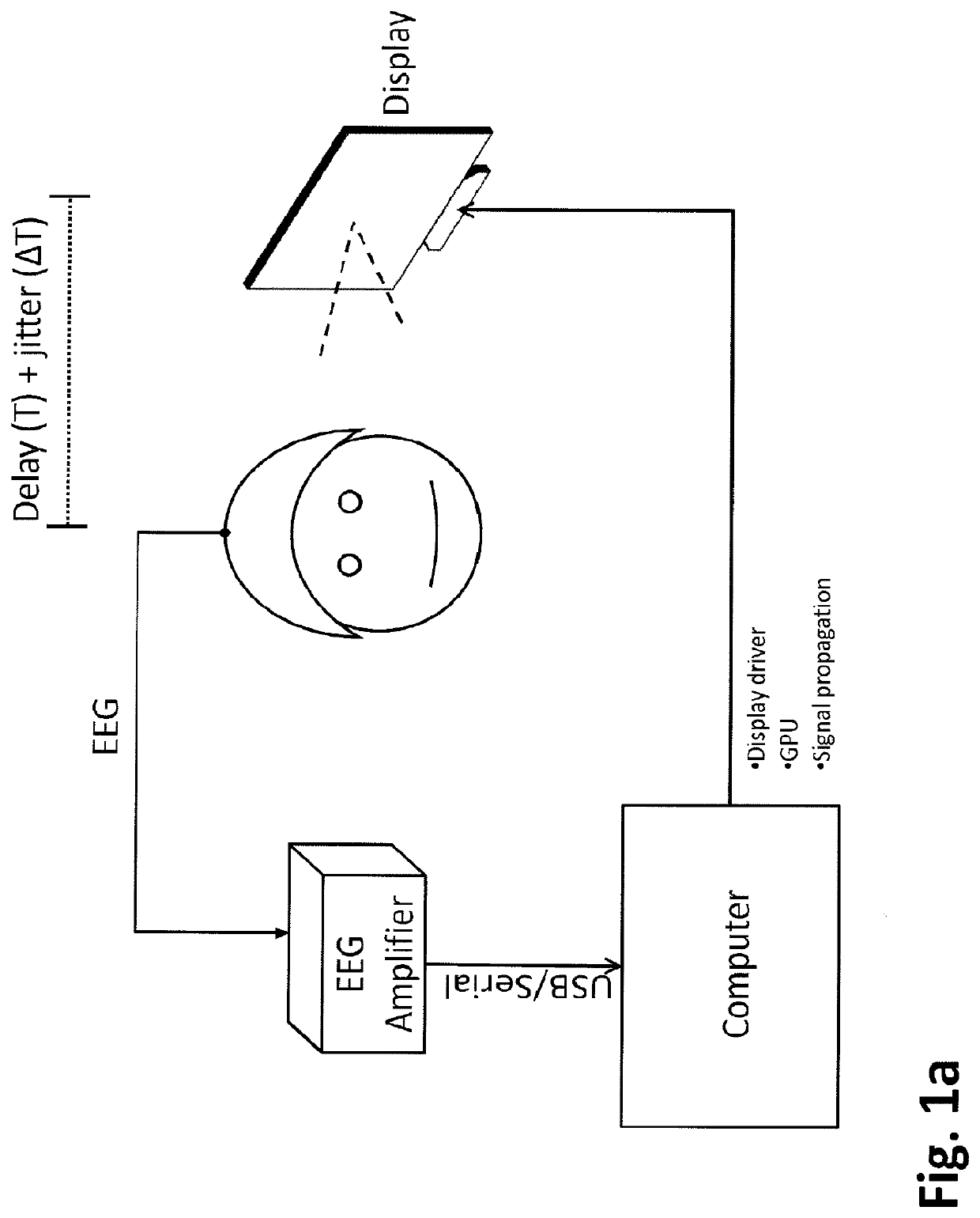 Brain activity measurement and feedback system