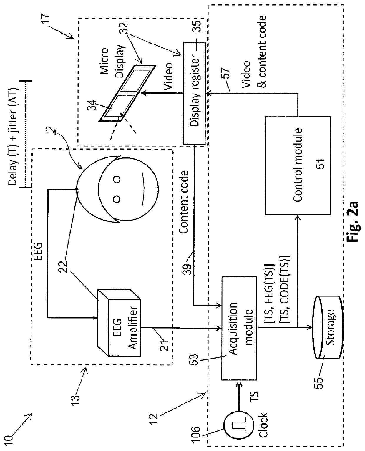 Brain activity measurement and feedback system