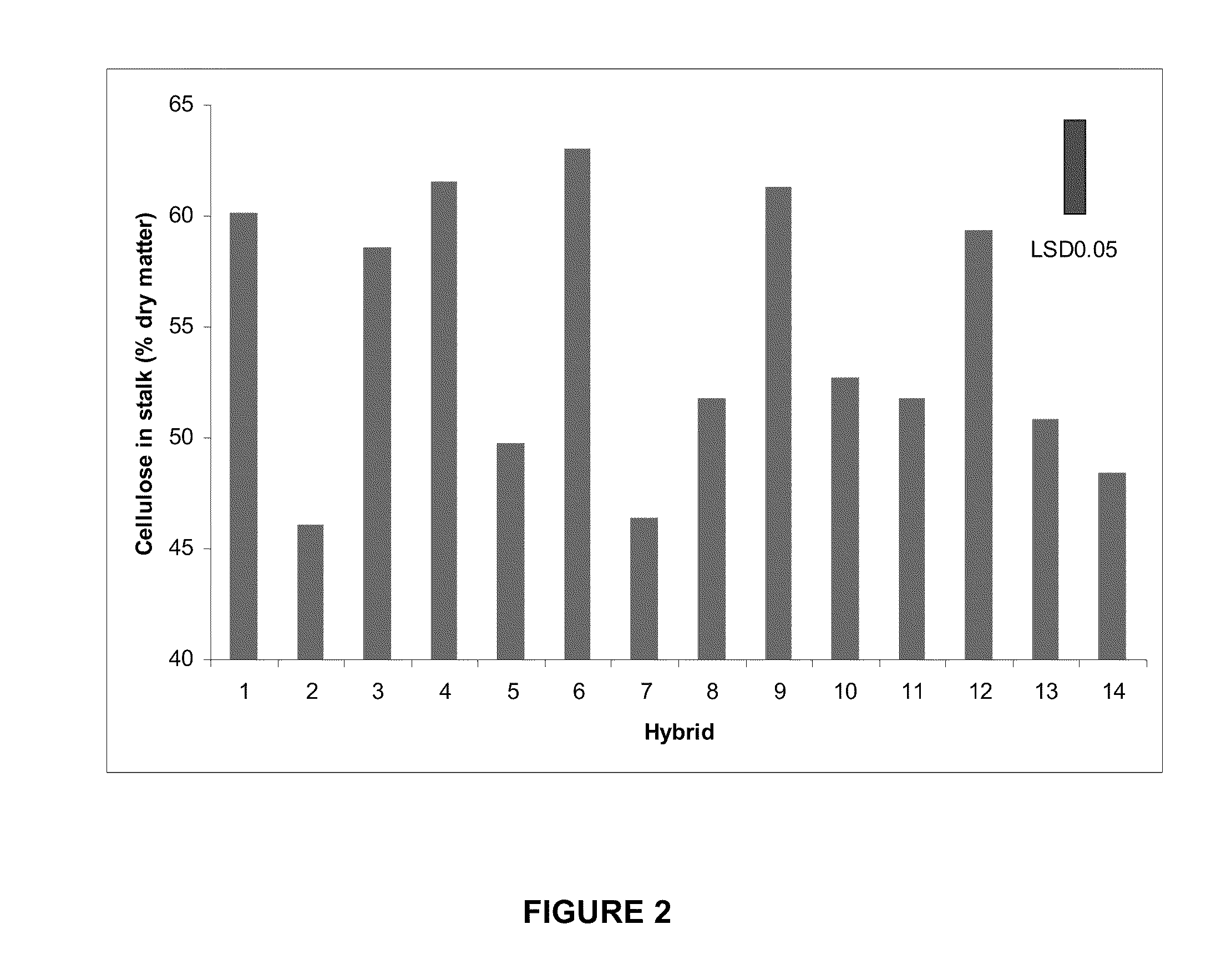 Secondary wall forming genes from maize and uses thereof