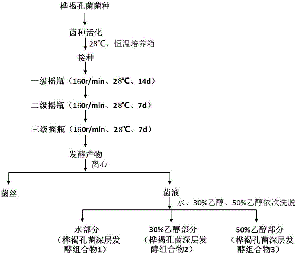 Inonotus obliquus submerged fermentation product and application