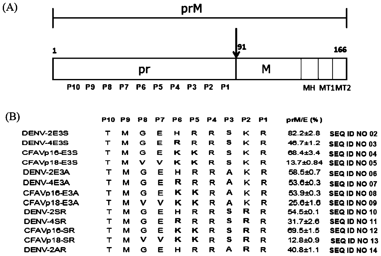 Dengue virus-like particle, antibody against dengue virus, and composition comprising the same