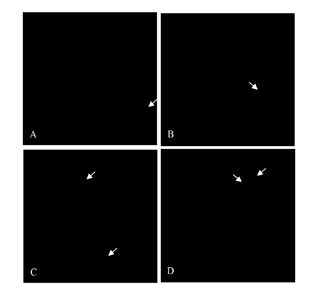 Method for efficiently inducing wheat-wheatgrass non-homologous chromosomes to translocate