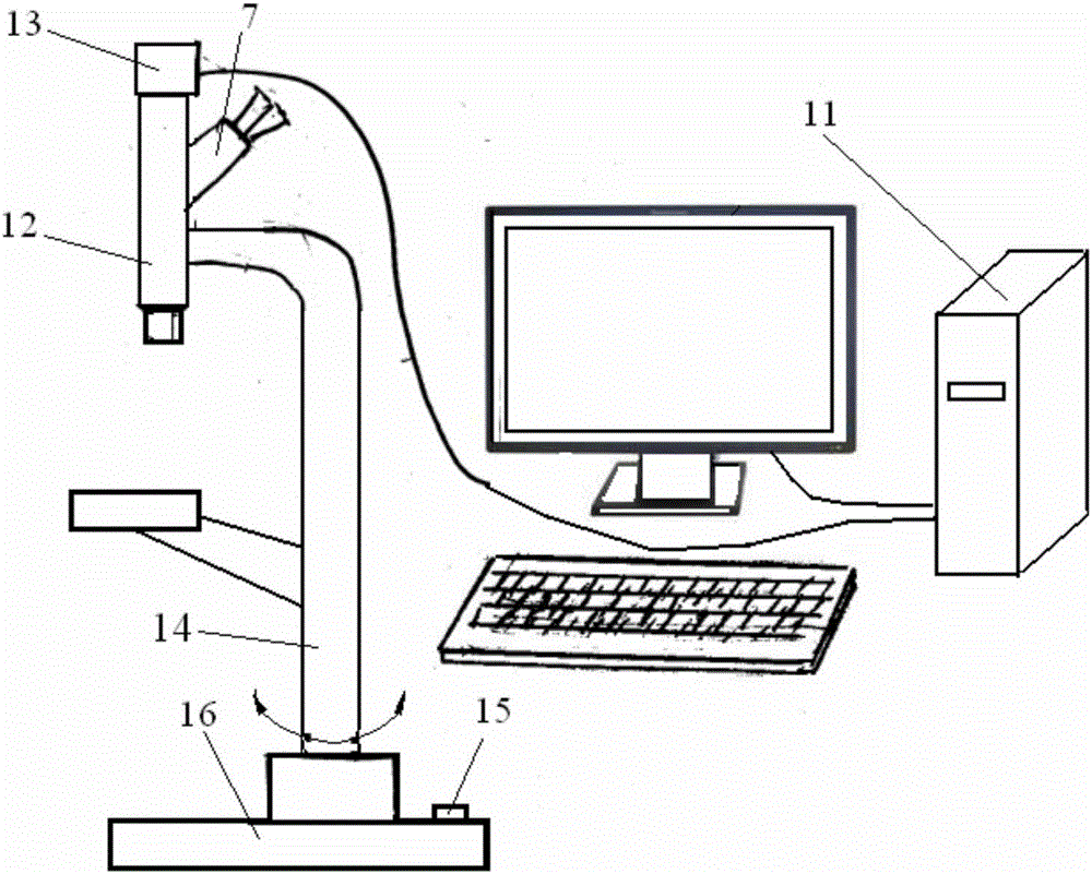 Animal mesentery microcirculation observation system